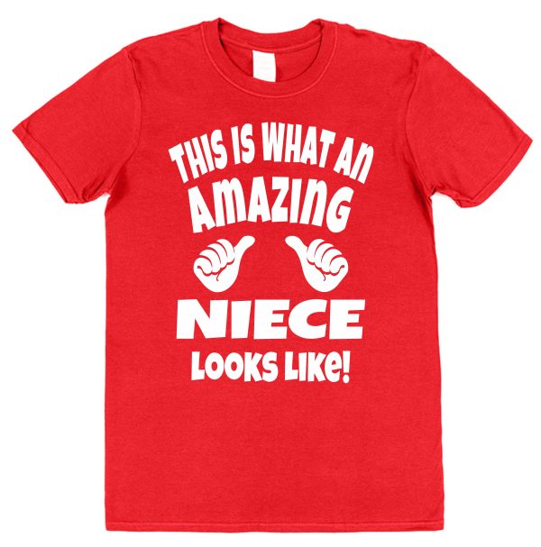Niece T-Shirt - "This Is What An Amazing Niece Looks Like" - Image 2