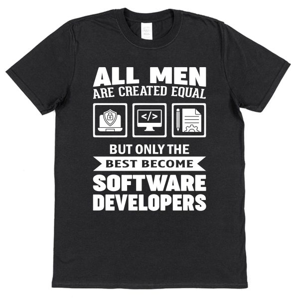Software Developer